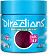  Directions Dark Tulip 