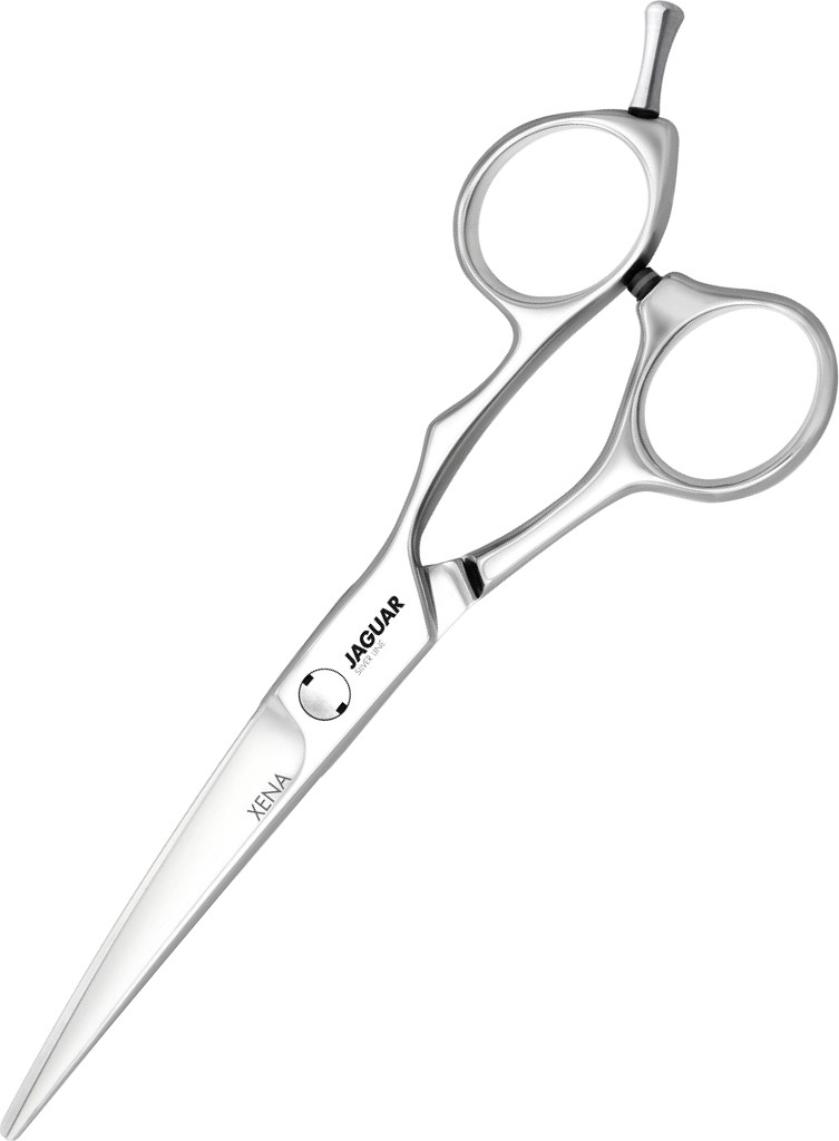  Jaguar Xena 5.5" Silver Line 