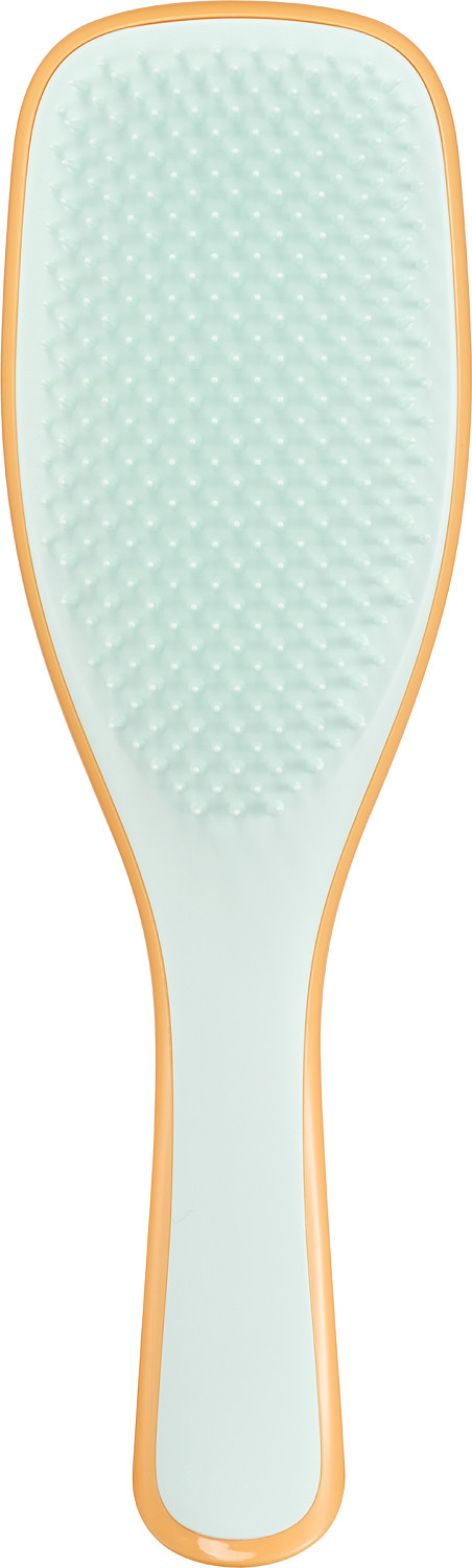  Tangle Teezer Ultimate Detangler Sweet Orange & Ice Blue 