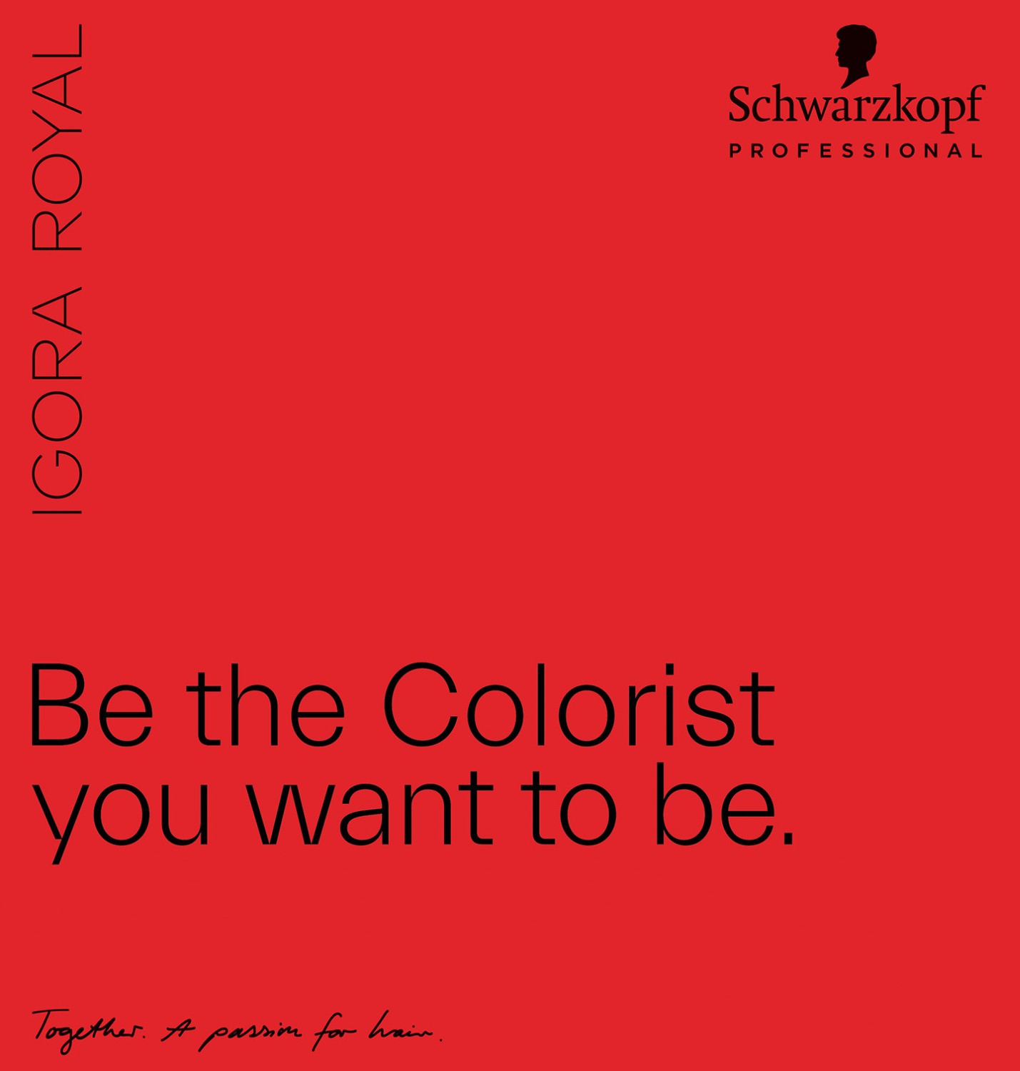  Schwarzkopf Igora Royal Premium Farbkarte 