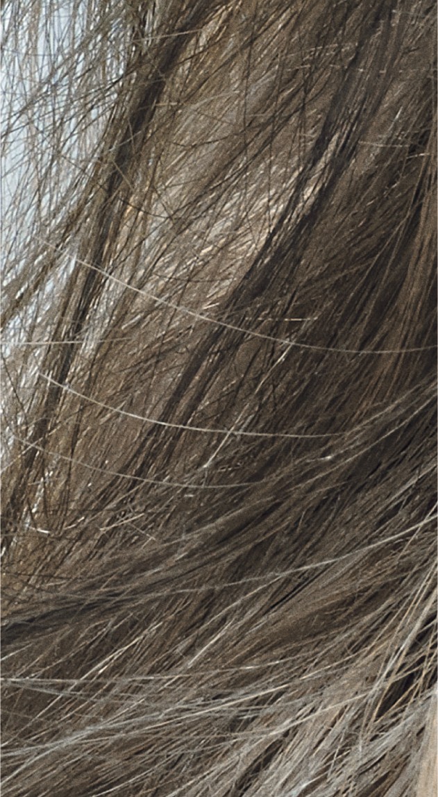  Goldwell Colorance 8CA Cool Asch 120 ml 